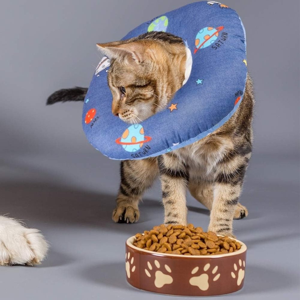 Cat Recovery Collar Size Medium- Cat not included 🐱 - Picture 4 of 6